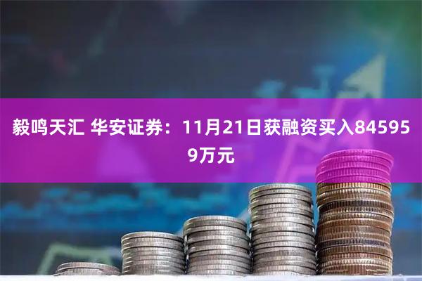 毅鸣天汇 华安证券:11月21日获融资买入845959万元